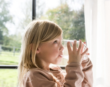 Comment fonctionne un purificateur d'eau ?