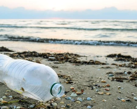 Journée mondiale de l'environnement : combattre la pollution plastique