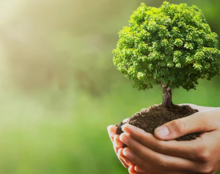 Journée de la Terre : Culligan & No Plastic in My Sea, ensemble contre le plastique