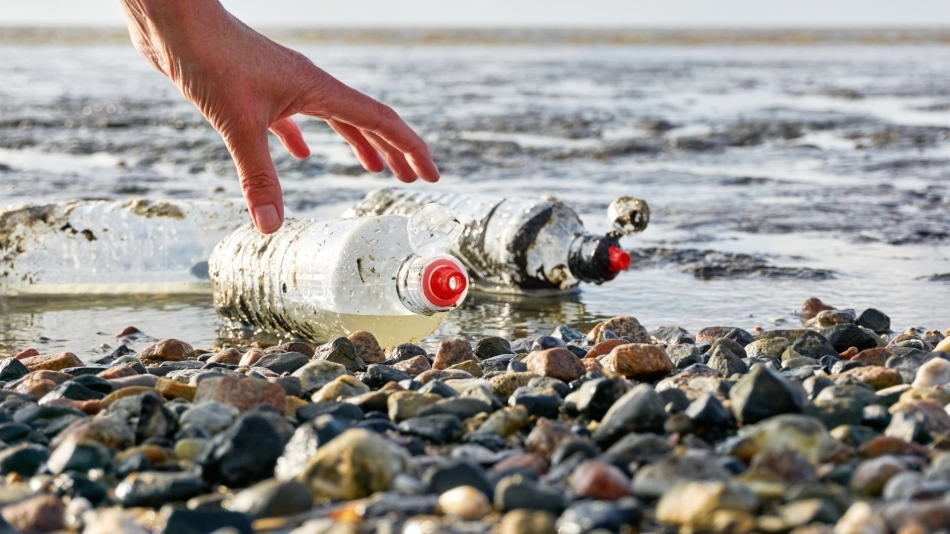 journée mondiale des océans plastique bouteilles