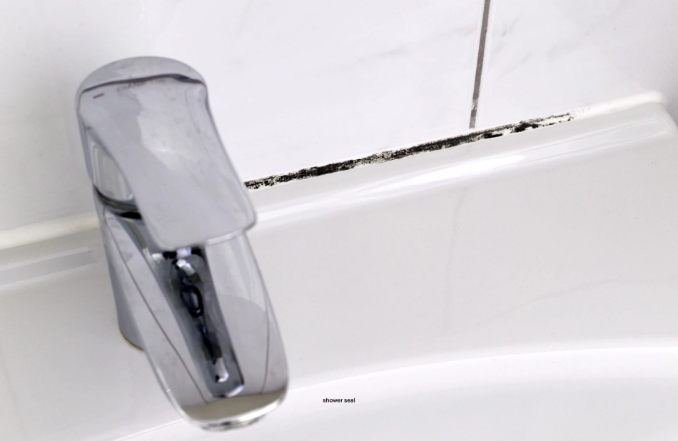 joint douche noir calcaire